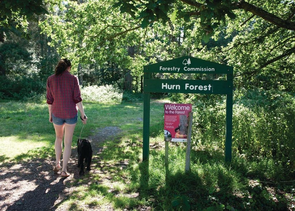 Oakdene Forest Hotell Ferndown Exteriör bild